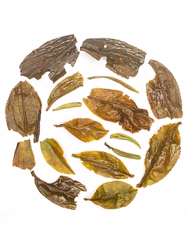 Rohini Darjeeling First Flush Oolong Tea 2025 | Spring Fruity oolong | 100% Finely Plucked Whole Leaf Tea-2-sm