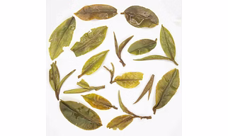Darjeeling First Flush Oolong Tea 2025 | Moondrop First Pick | 100% Fine Whole Leaf Tea