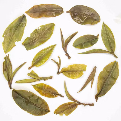 darjeeling first flush oolong tea 2025 | moondrop first pick | 100% fine whole leaf tea