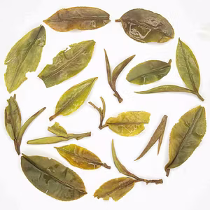 Darjeeling First Flush Oolong Tea 2025 | Moondrop First Pick | 100% Fine Whole Leaf Tea