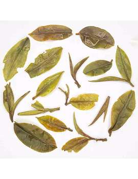 Darjeeling First Flush Oolong Tea 2025 | Moondrop First Pick | 100% Fine Whole Leaf Tea