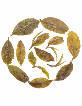 Rohini Darjeeling White Oolong Tea 2025 | Rare Umami Flavour | 100% Long Leaf Tea-1-sm