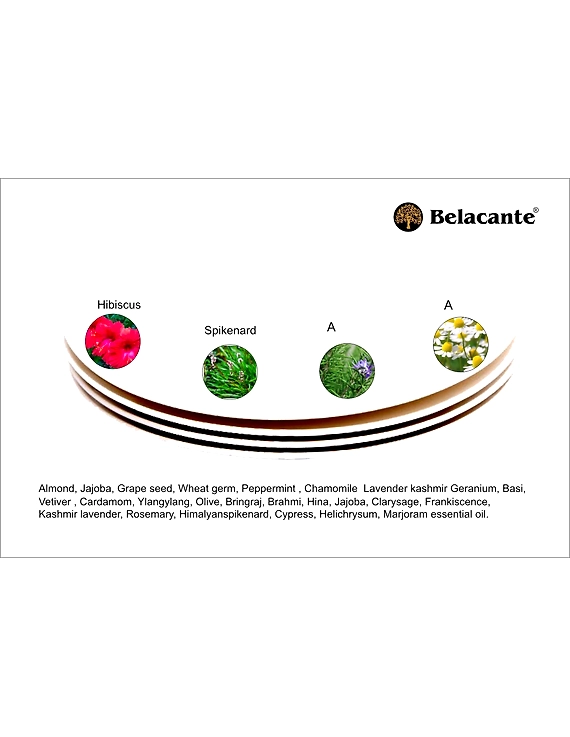 BRAIN ELIXIR-3