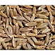 CUMIN-6500780-sm