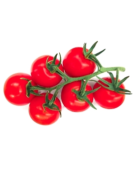TOMATO