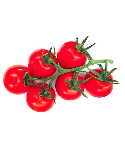 TOMATO-6505808