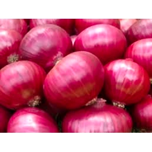 Onions