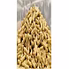 Cattle Feed-6518946-sm