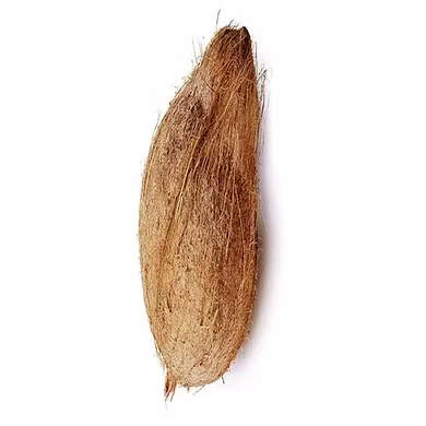Coconut-6518942