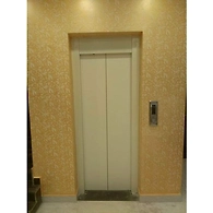 Modern Passenger Elevator