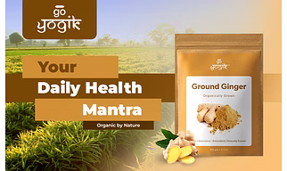 Go-Yogik Ginger powder -100g | Grown Organically in Himalayas