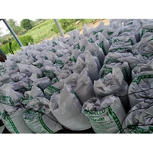 Organic Compost