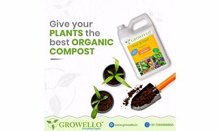 Organic Liquid Fertilizer