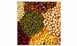 Indian Pulses