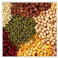Indian Pulses