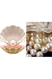 Natural Pearls VS Cultured Pearls