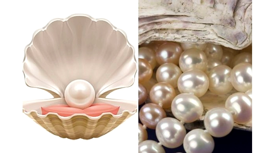 Natural Pearls VS Cultured Pearls
