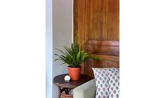 Green Fern
