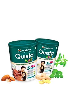Quista kidz