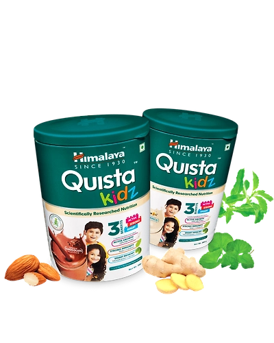 Quista kidz-3-1