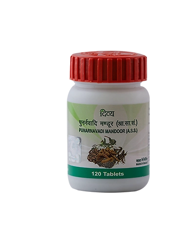DIVYA PUNARNAVADI MANDOOR - 120 TAB 40 GM-P740