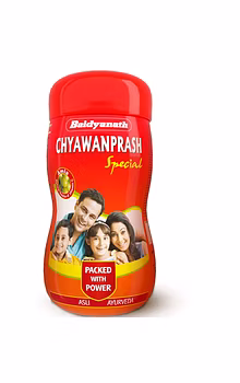 Baidyanath Chyawanprash Special - All Round Immunity and Protection - 500g