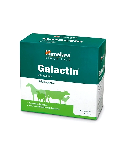 GALACTIN VET BOLUS-H94-1
