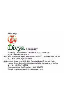 DIVYA CHURNA 100 GM