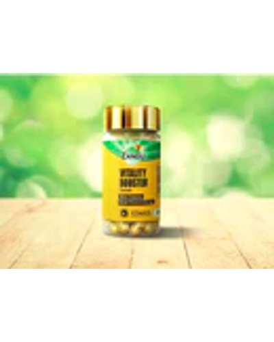Healthcare Kit for Working Professional-60 CAPSULES-3