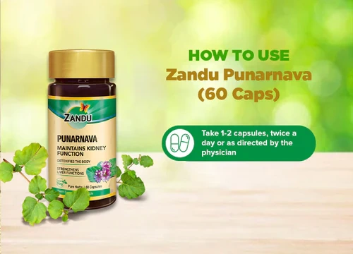 Punarnava Capsules (60 Caps)-60 capsules-2