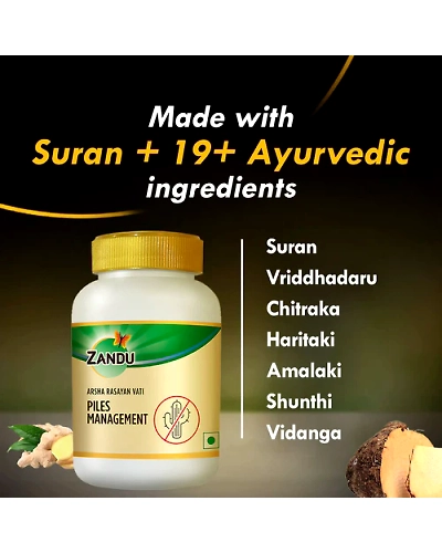 Piles Management (Arsha Rasayan Vati) (60 tab)-60 capsules-2