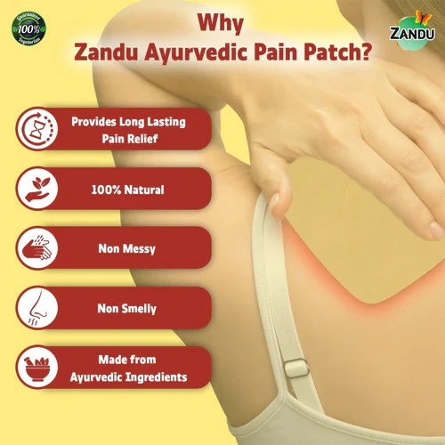 Ayurvedic Pain Relief Patch (Pack of 5 patches)-Pack of 5-4