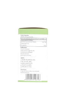 Baidyanath Ayurvedant Tulsi 60Caps For Healthy Immunity System