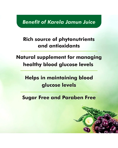 Chyawanprash Chyawan Fit Sugar Free1Kg With Karela Jamun 1Ltr-1KG &amp; 1LTR-4