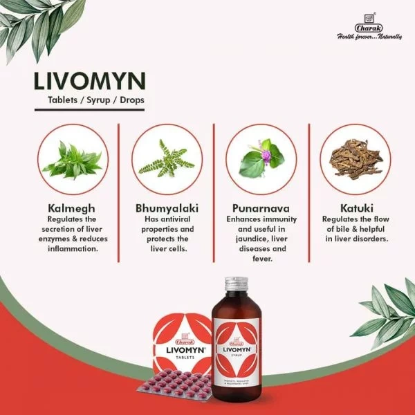 Livomyn Tablet-Pack of 30 / 500 tablets-3