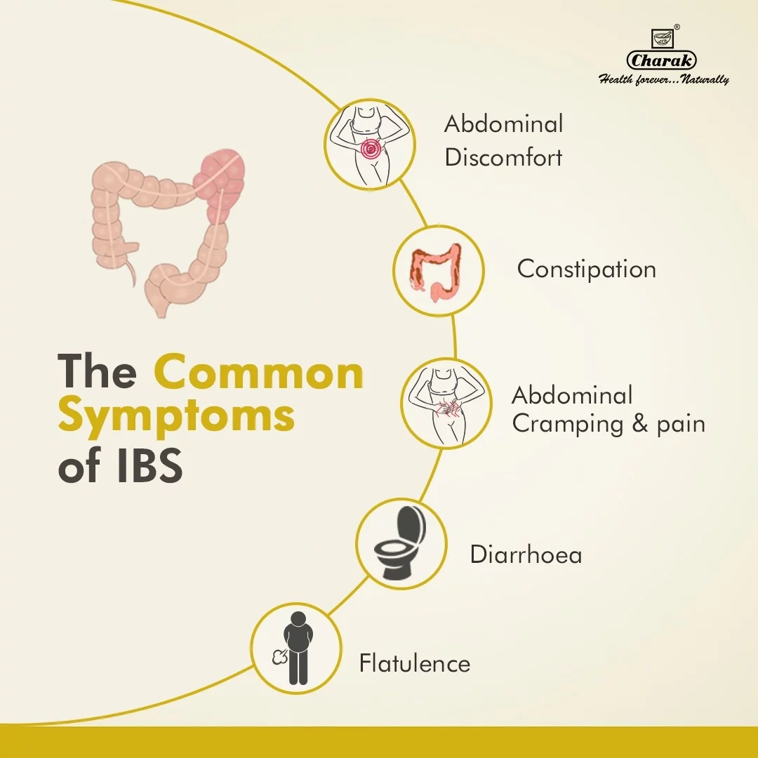 Stop IBS Tablets-Strip of 30 tablets Quantity-3