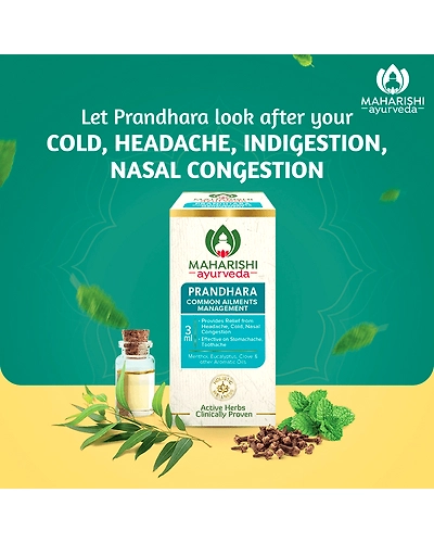 Ayur Defence Shield - For Seasonal Infections &amp; Flu-PACK -1-3