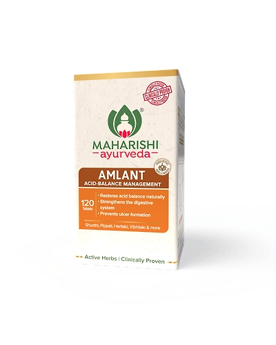 Amlant - Natural Acid Balancer-120 tab-2