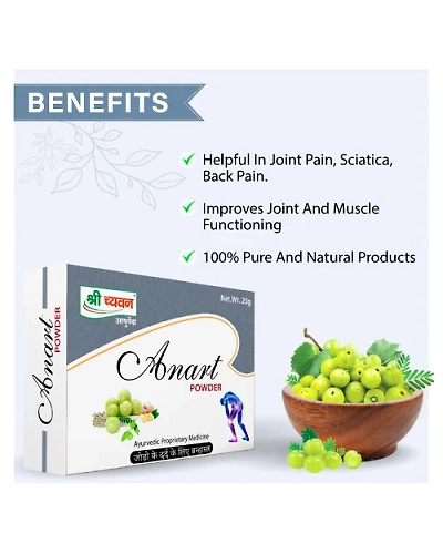 Anart Powder-100 GM-1