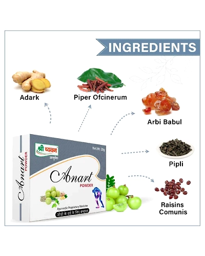 Anart Powder-100 GM-2