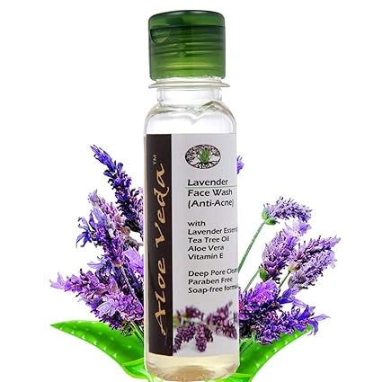 Aloe Veda Lavender and Tea Tree Oil (Anti Acne) Face Wash-Q99-1