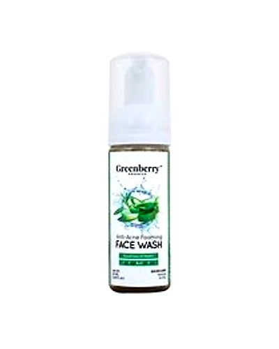 Greenberry Organics Anti-Acne Foaming Face Wash-Q451-1