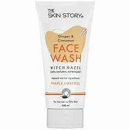 The Skin Story Ginger &amp; Cinnamon Pimple Control Face Wash-W609-1