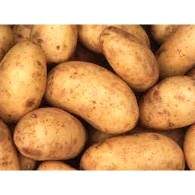 POTATO-6542046