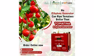 TOMATINA™ Ethylene Generator