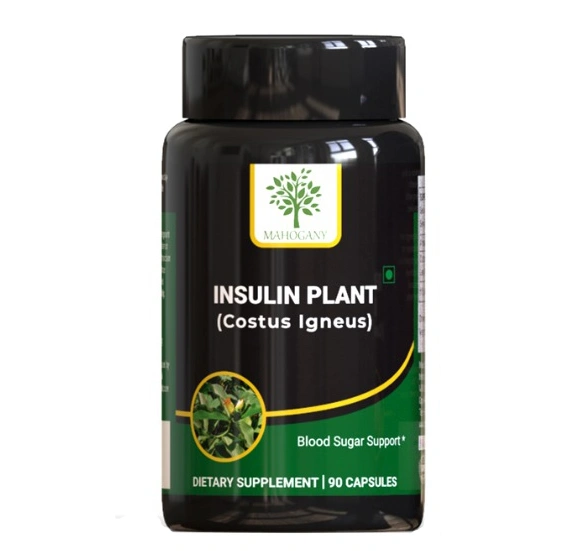 Insulin Plant (Costus Igneus) Capsules 400 mg- 90 Capsules-1