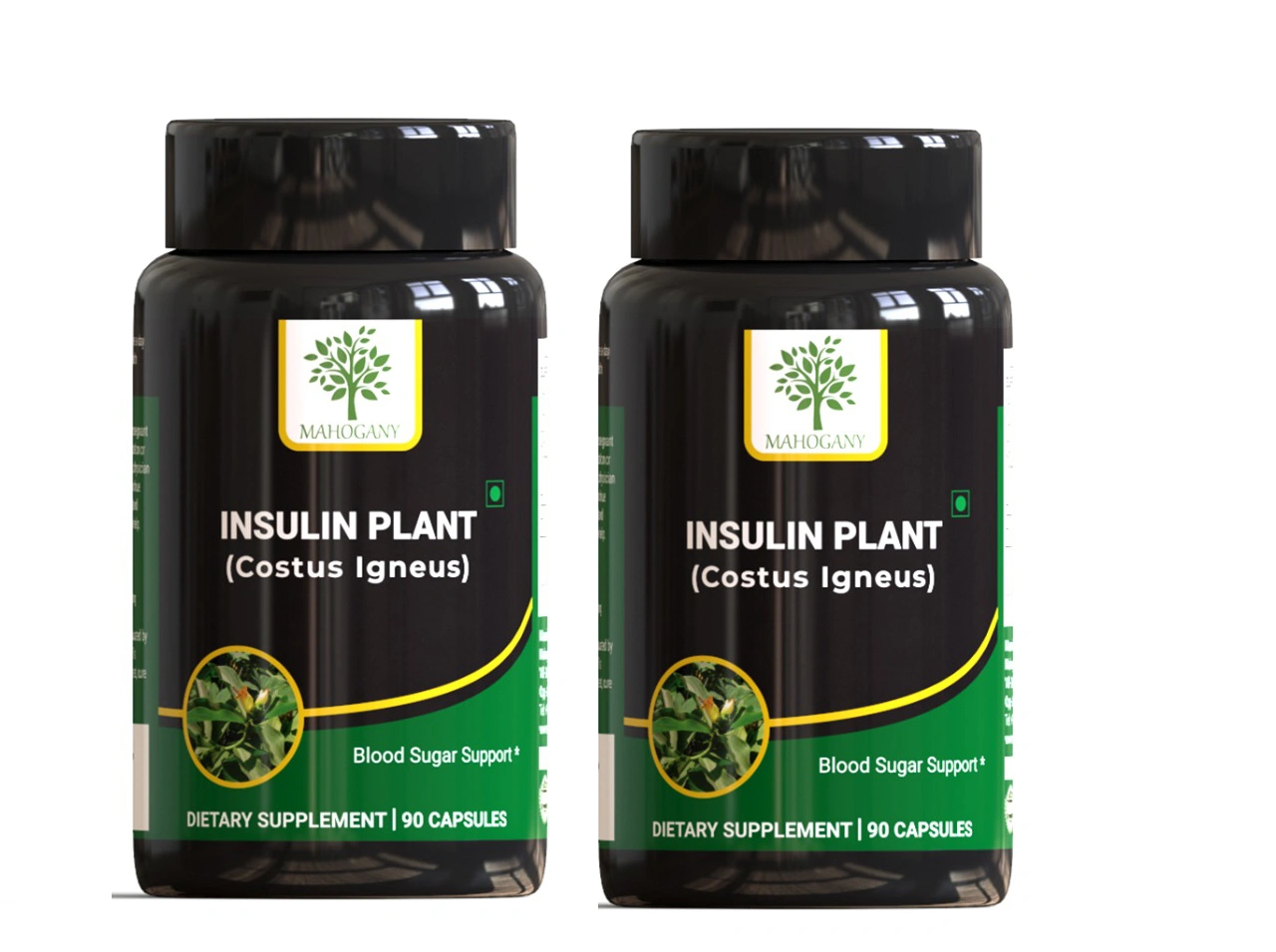 Insulin Plant (Costus Igneus) Capsules 400 mg- 90 Capsules-10052