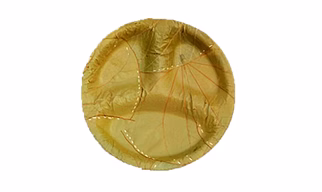 10" Breakfast Plates (Partition) (Pack of 20)