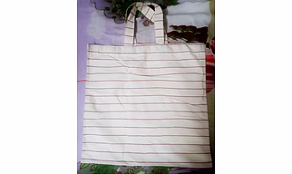 Cloth Bag for working Professionals