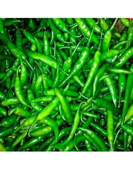 GREEN CHILLY